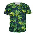 weed in the garden