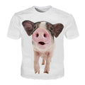cute pig