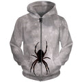 hanging spider