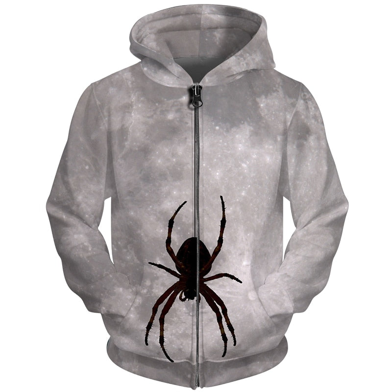 hanging spider