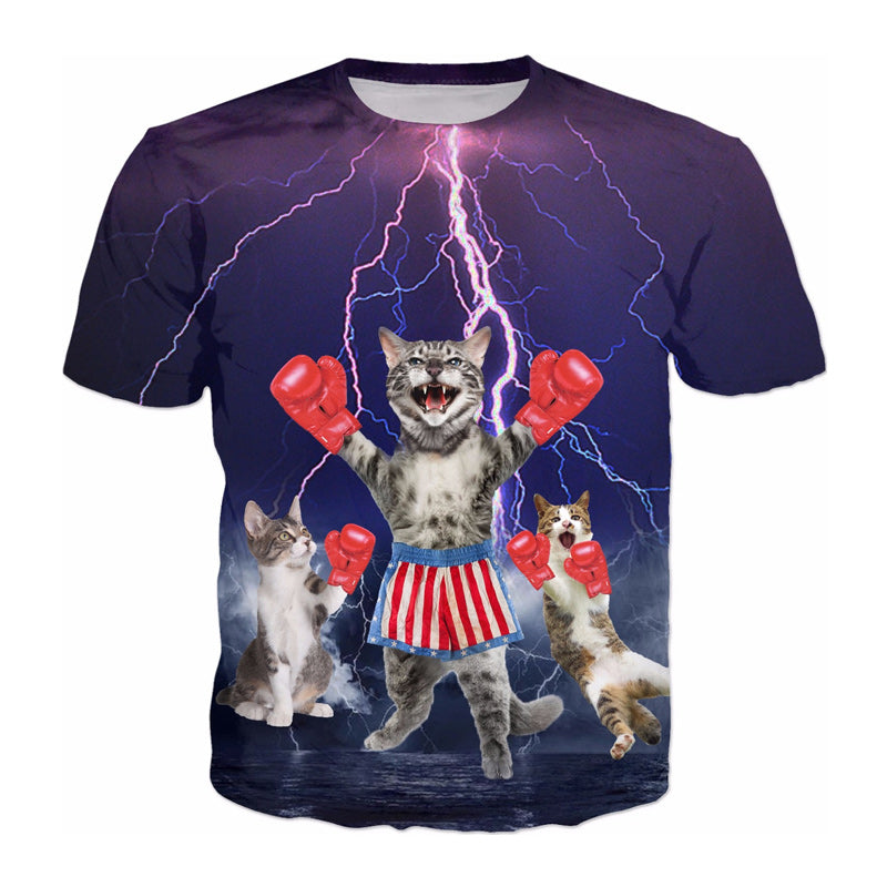 boxing cat winner
