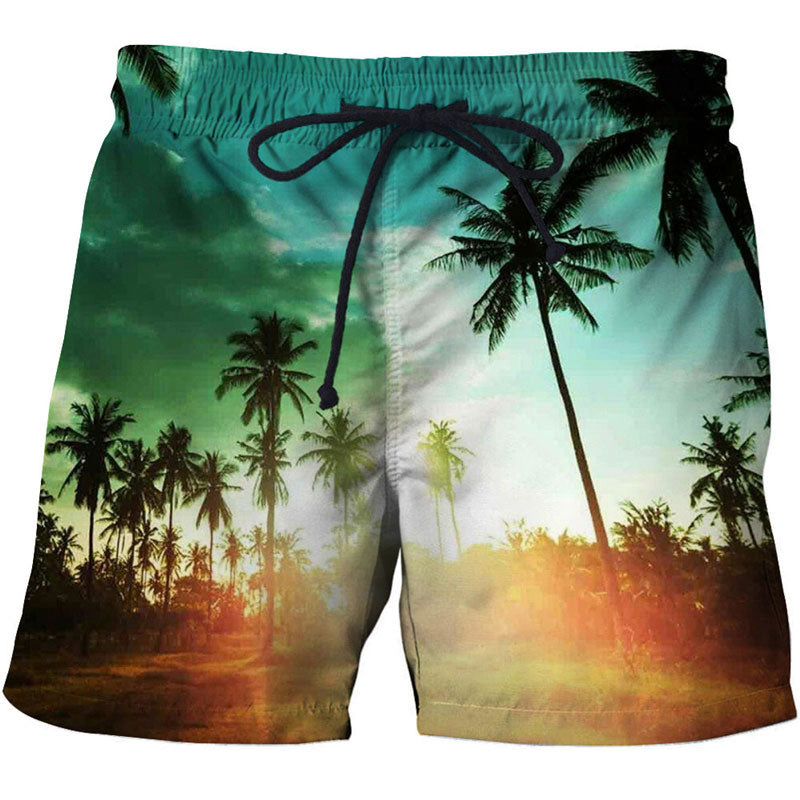 tropical beach