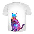 galactical cat