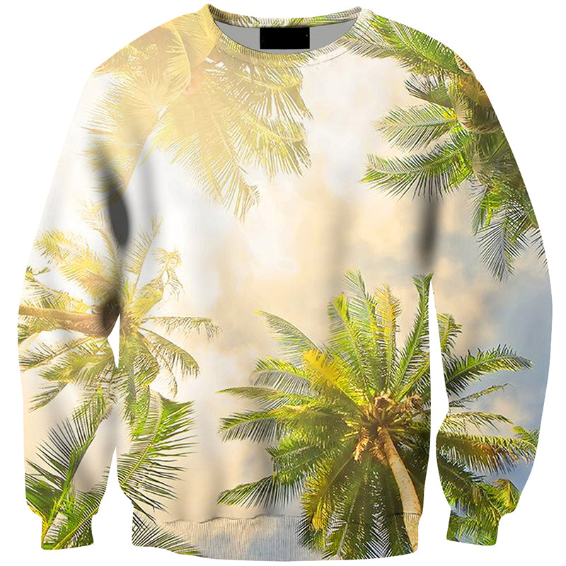 sunny day palms
