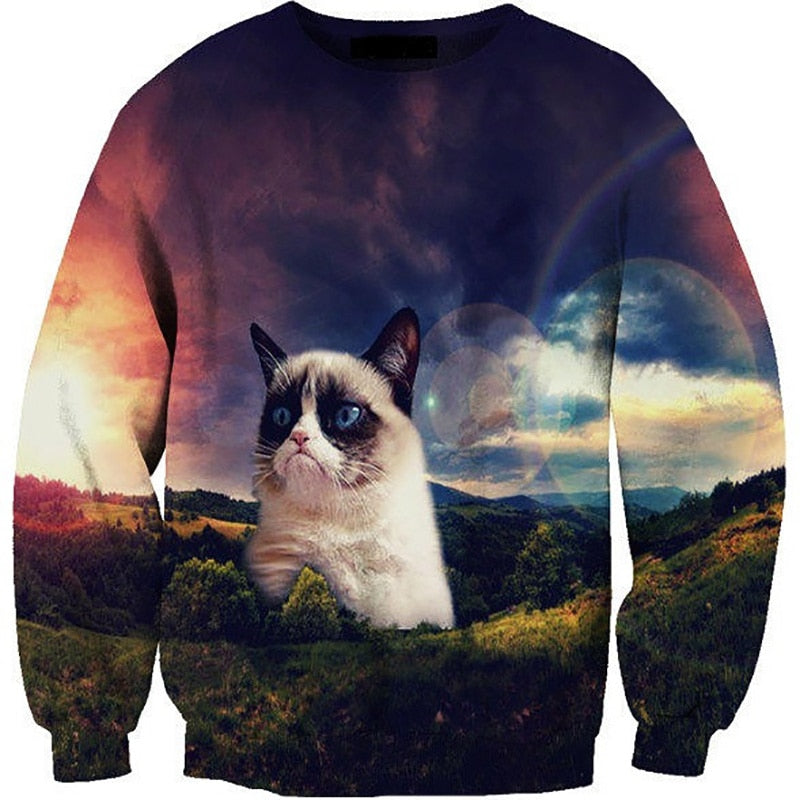 lost grumpy cat