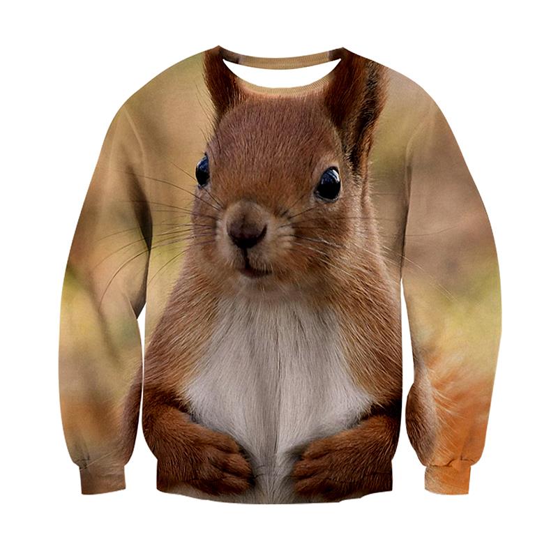 squirrel portrait