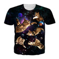 flying cats in the universe