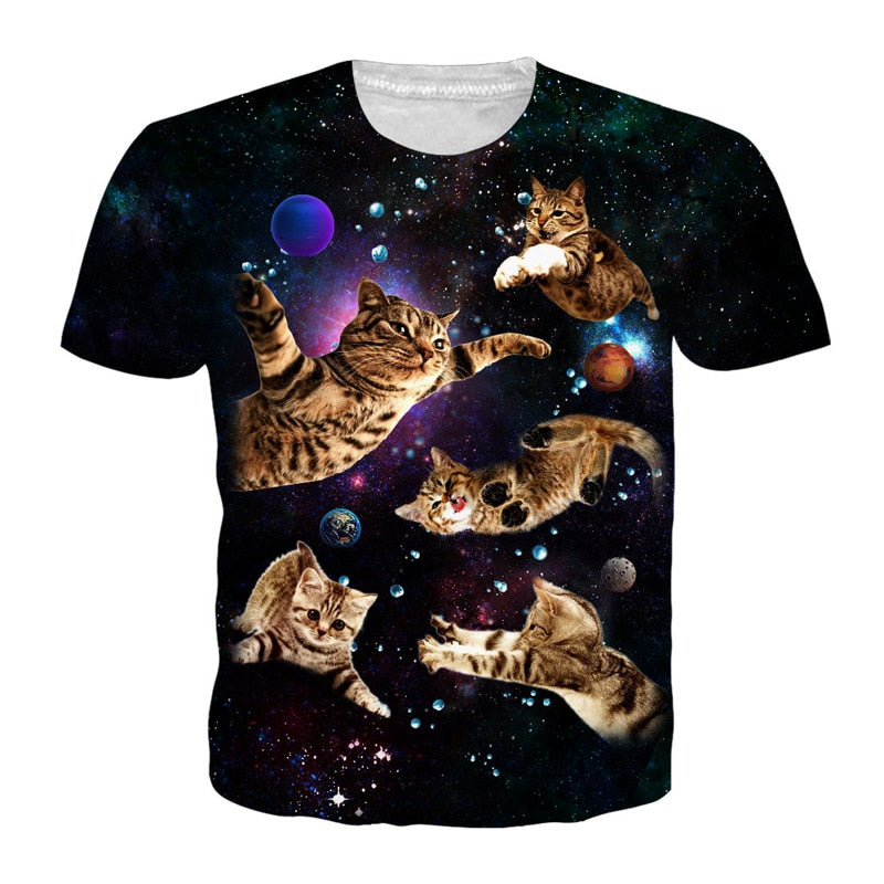 flying cats in the universe