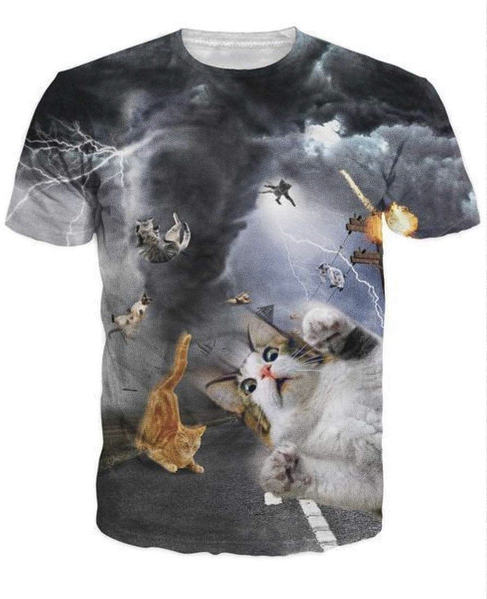 cats tornado