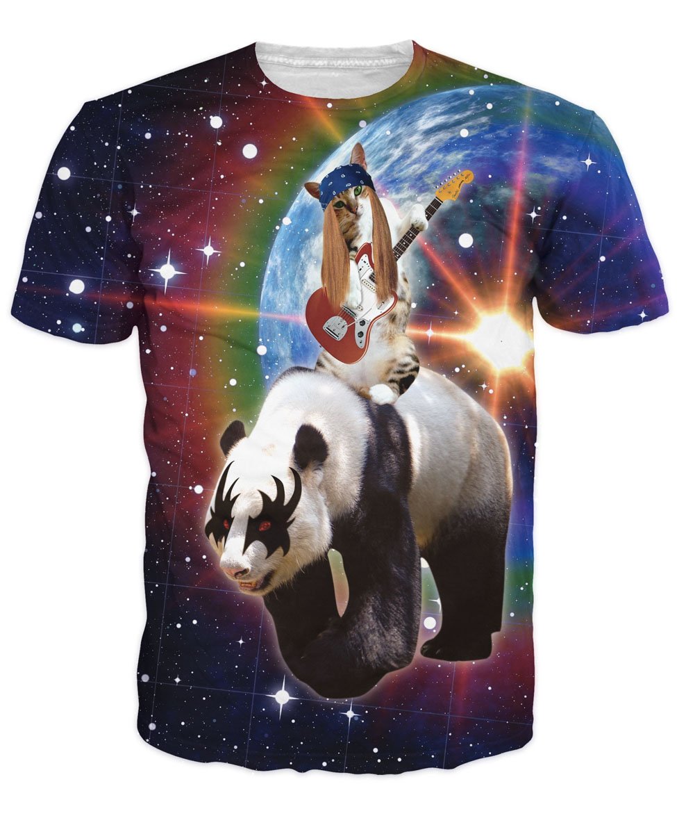 cat riding panda in galaxy