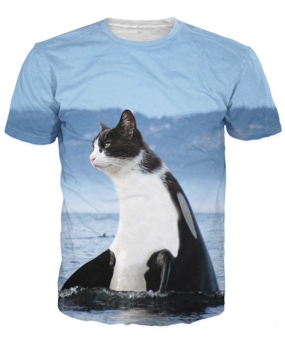 orca cat in ocean