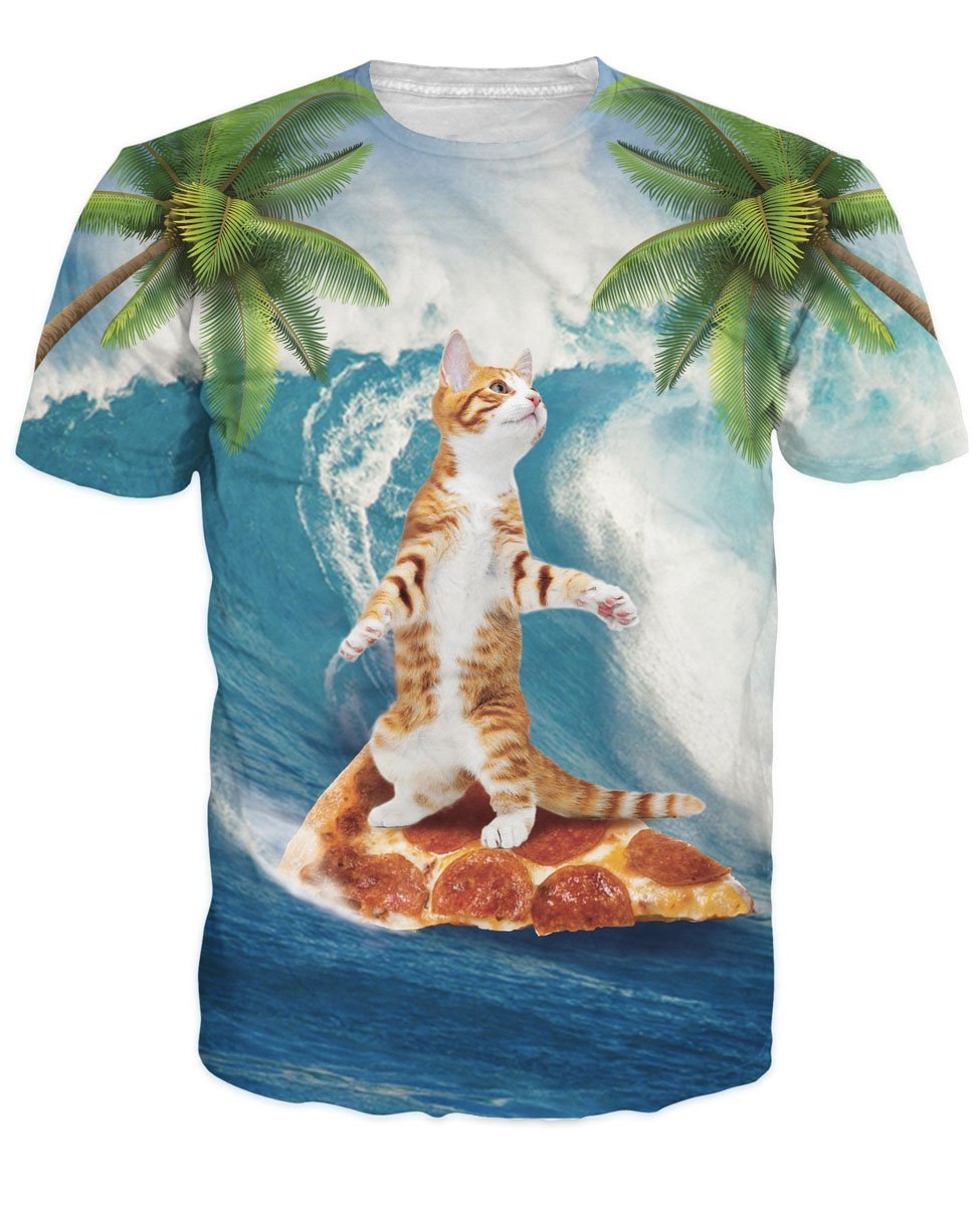 Cat surfing pizza