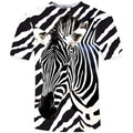 zebra design
