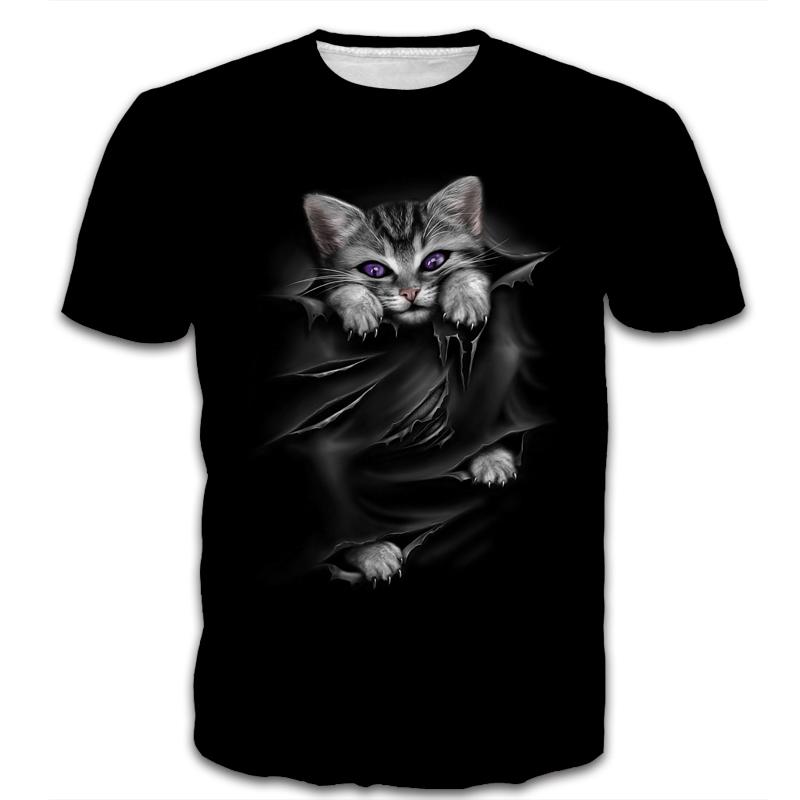 Purple Eyes Kitten