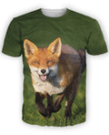 fox on a hill