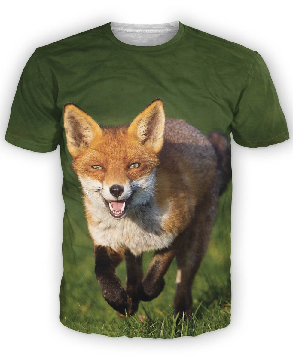 fox on a hill