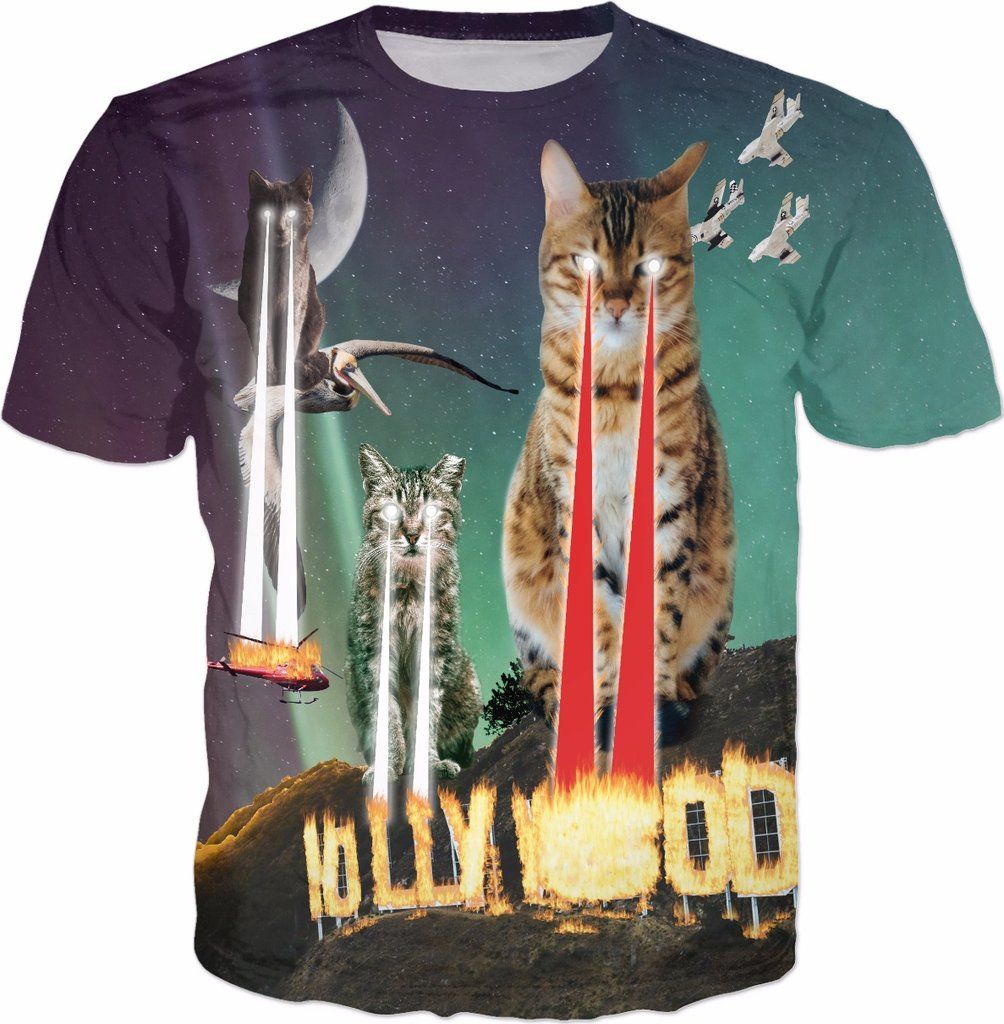 Cats Destroy Hollywood