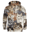 Too Many Cats Hoodie