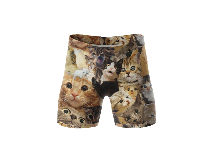 Surprised Cats Underwear